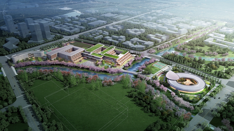 f:id:tamakino:20201031104131j:plain