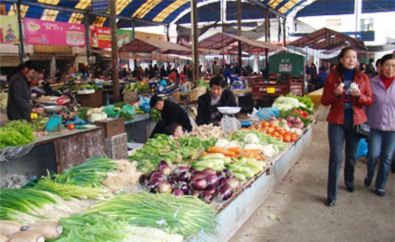 f:id:tamakino:20210818095000j:plain