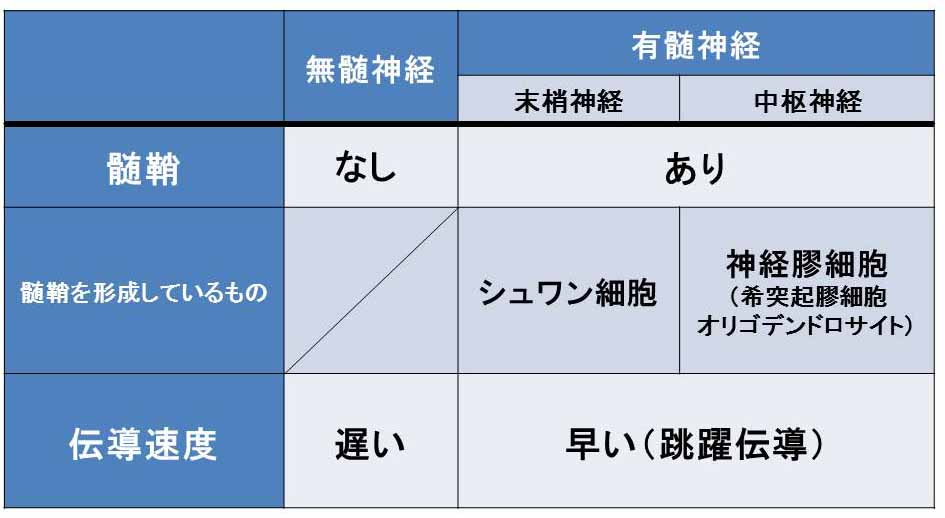 f:id:tamakoro1k:20170813034846j:plain f:id:tamakoro1k:20170813034846j:plain