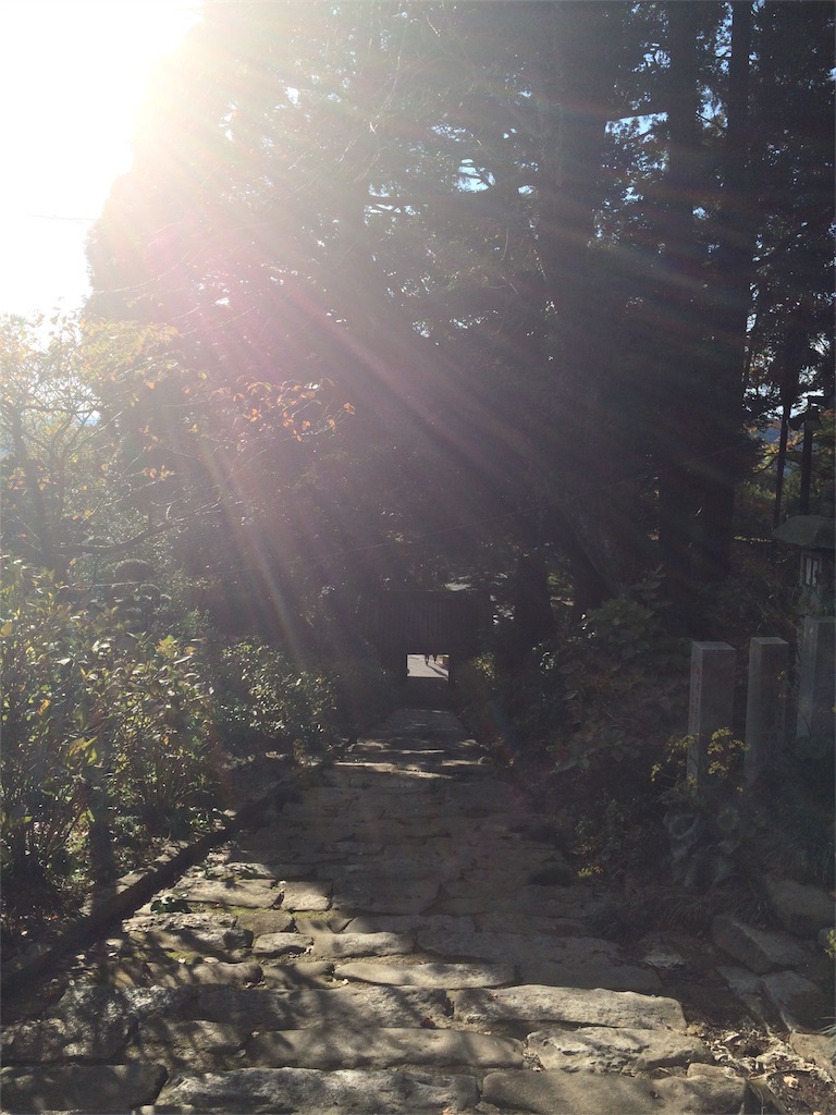 f:id:tamakushi13:20170401002007j:image f:id:tamakushi13:20170401002007j:image