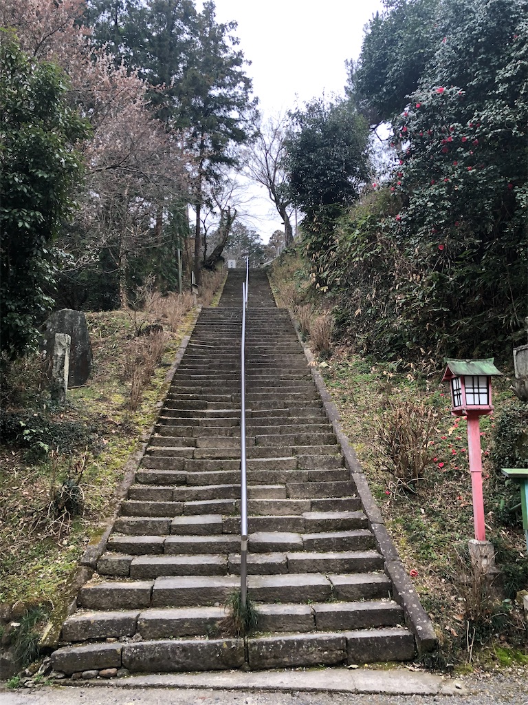 f:id:tamakushi13:20200311144733j:image