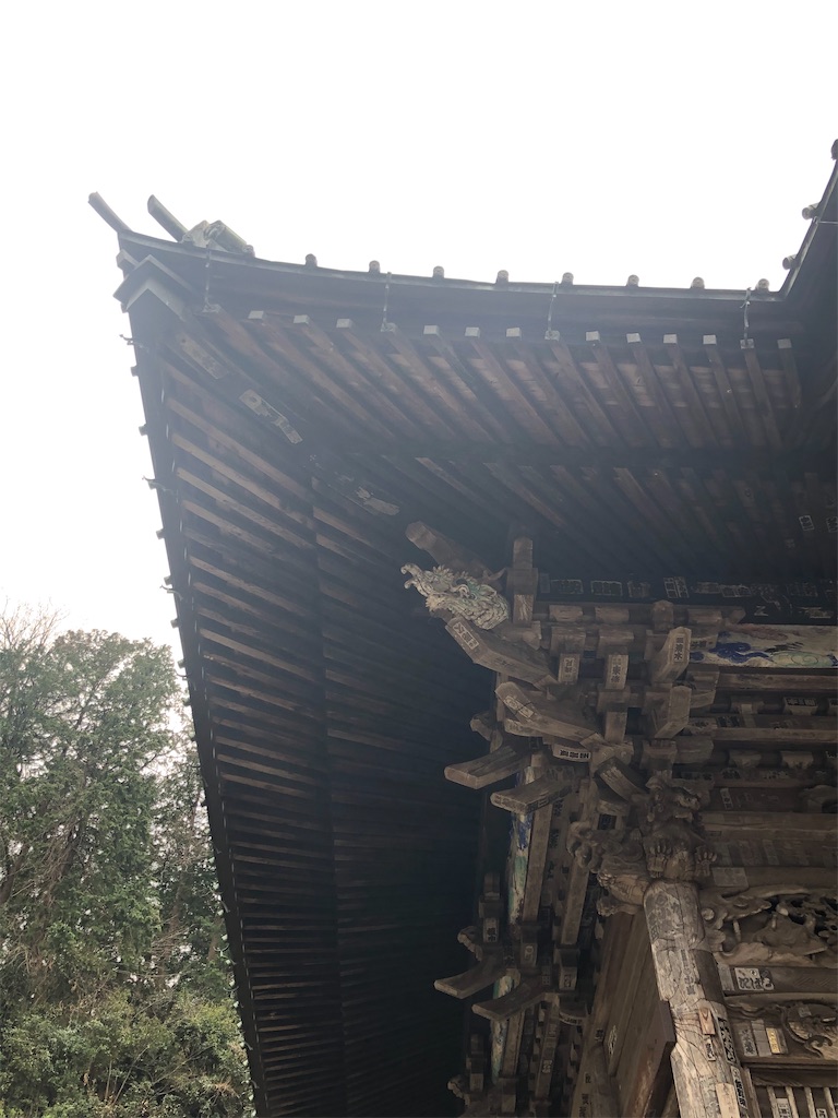 f:id:tamakushi13:20200311144741j:image