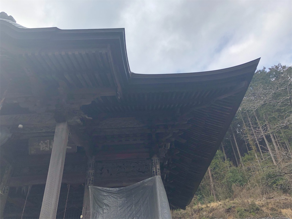 f:id:tamakushi13:20200311145519j:image