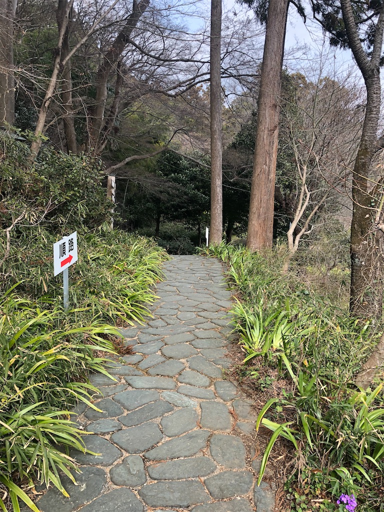 f:id:tamakushi13:20200311145522j:image