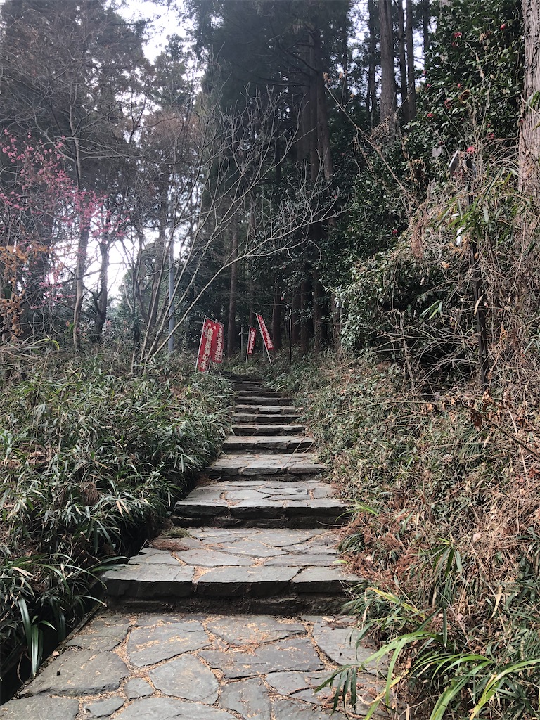 f:id:tamakushi13:20200311145534j:image