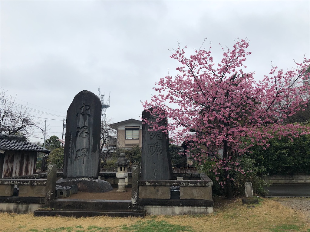 f:id:tamakushi13:20200311150301j:image