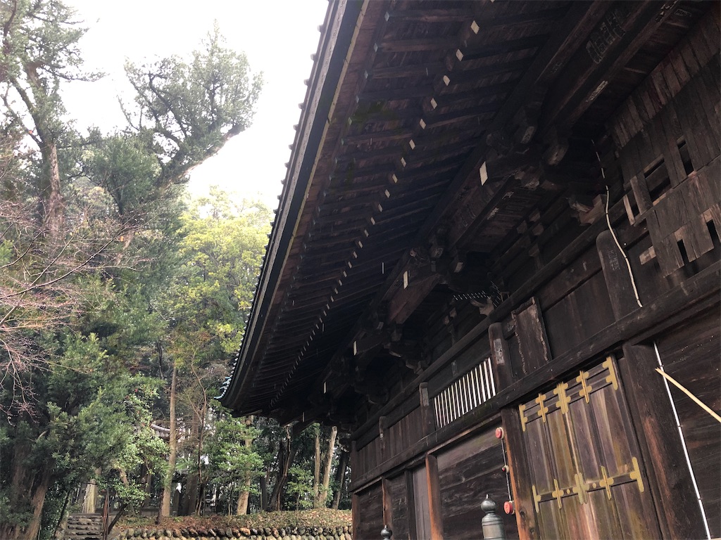 f:id:tamakushi13:20200311150643j:image