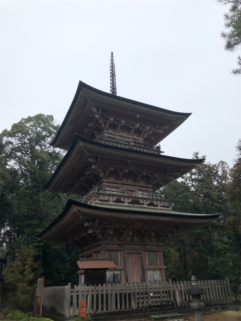 f:id:tamakushi13:20200311150646j:image