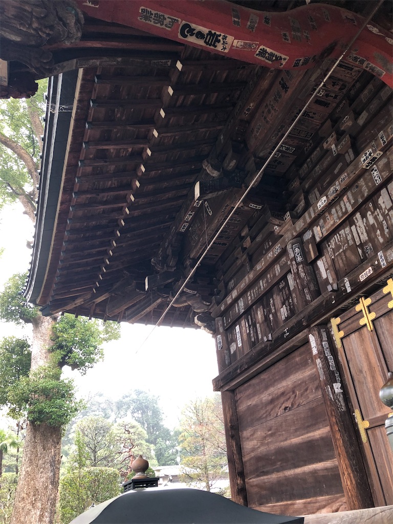 f:id:tamakushi13:20200311150657j:image