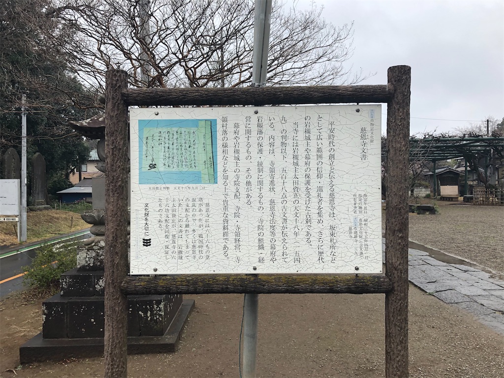 f:id:tamakushi13:20200311150717j:image