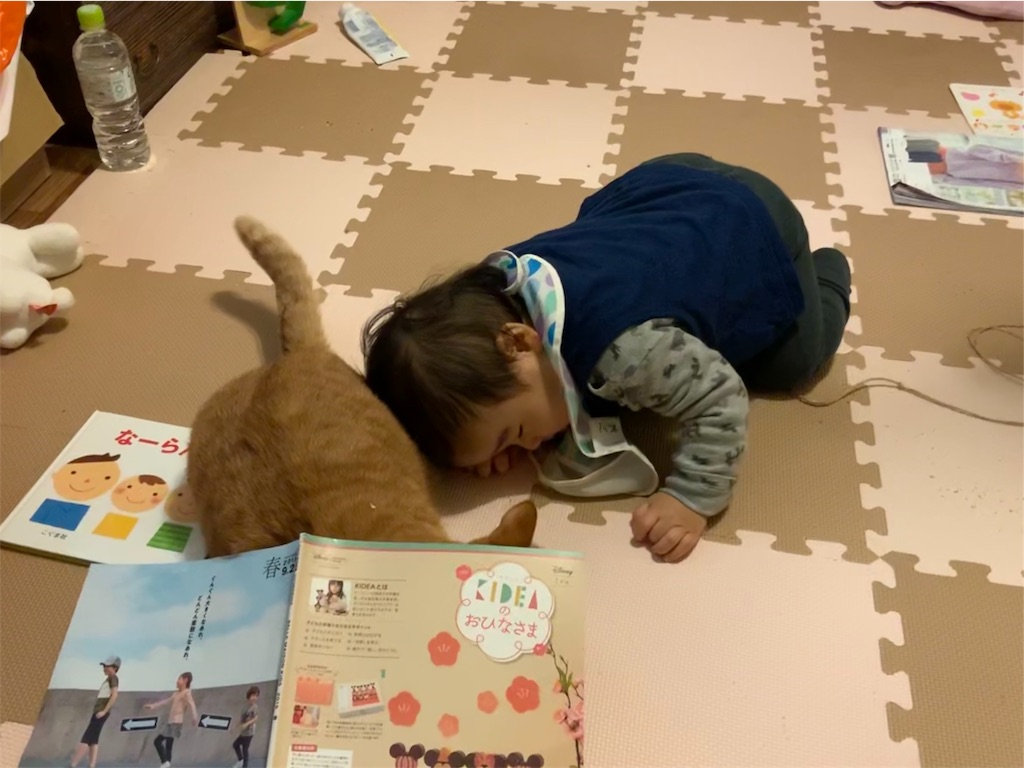 f:id:tamaliver:20190215004926j:image