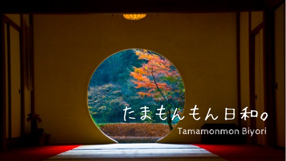 f:id:tamamon_mt:20171117233457j:plain f:id:tamamon_mt:20171117233457j:plain