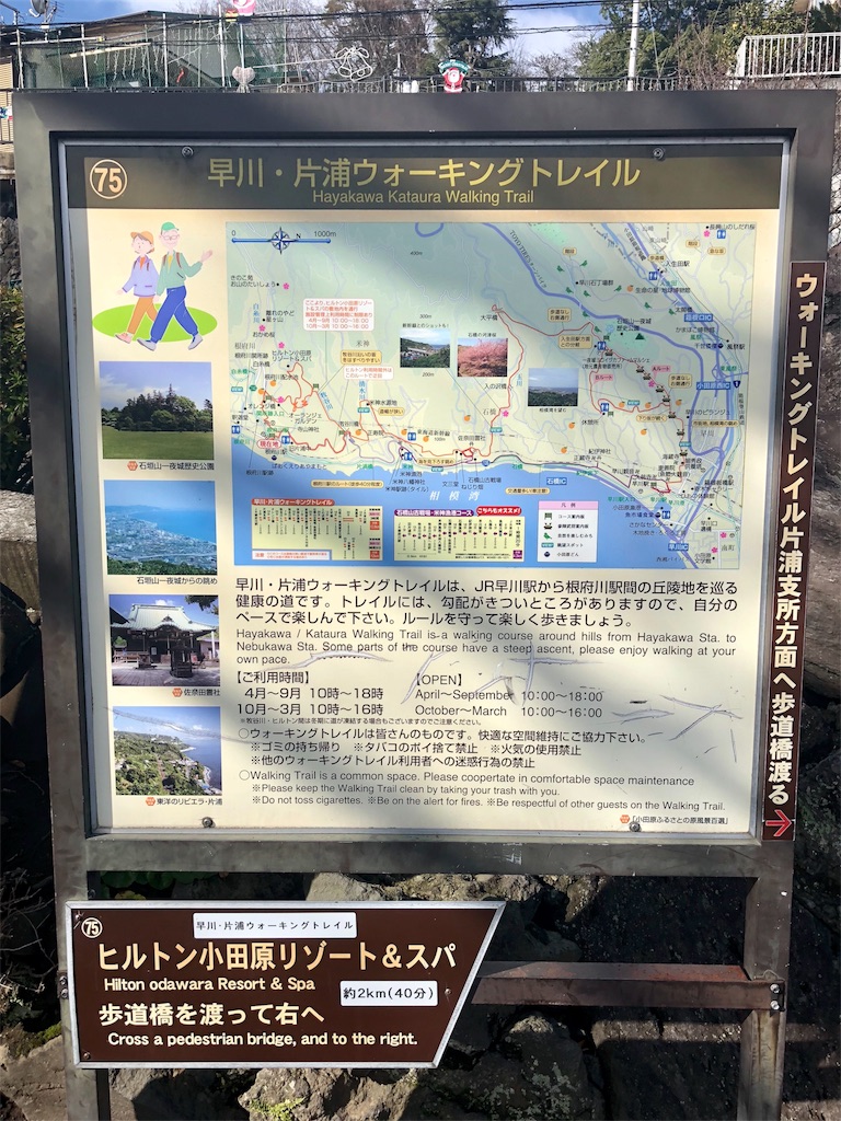 f:id:tamanaosakura:20180111215602j:image