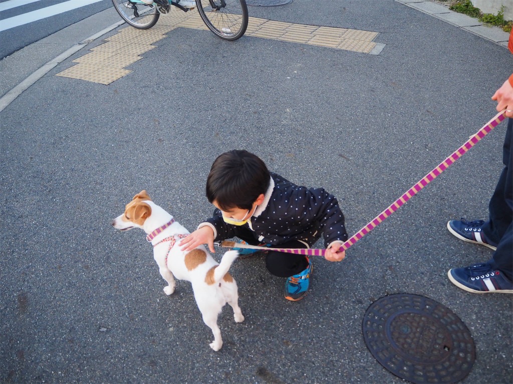 f:id:tamanaosakura:20180117230442j:image