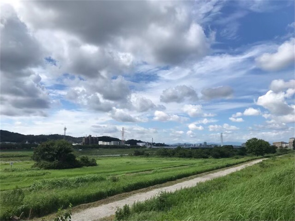 f:id:tamano8:20230916184305j:image