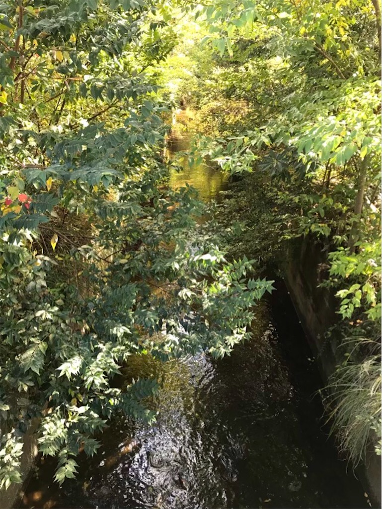 f:id:tamano8:20231118140633j:image