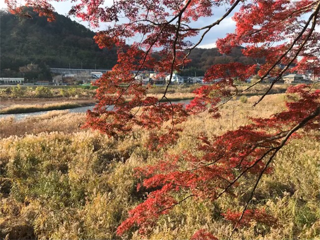 f:id:tamano8:20231213211317j:image