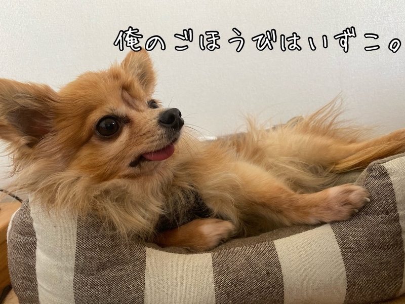 あずきのチカラを信じる てへぺろ系男子sとたまの日々 あずきのチカラを信じる てへぺろ系男子sとたまの日々
