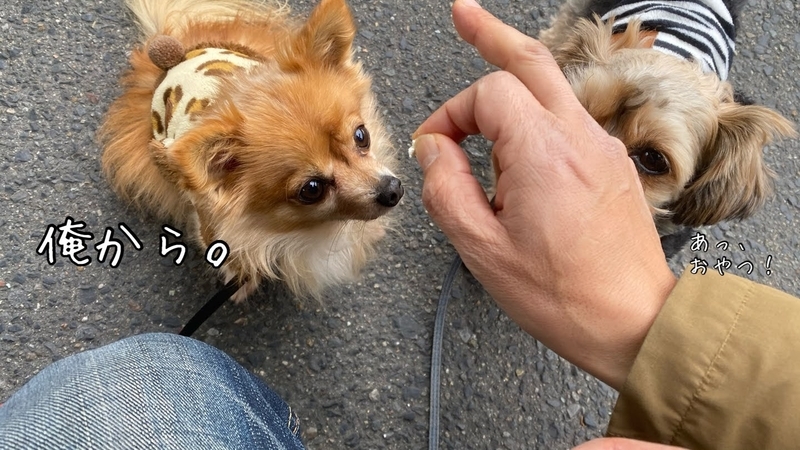 f:id:tamanohibig:20210203145757j:plain