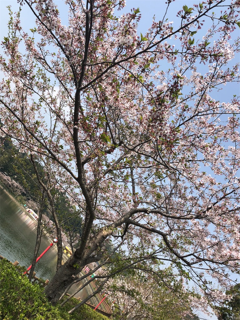 f:id:tamaohioki:20180403162623j:image f:id:tamaohioki:20180403162623j:image