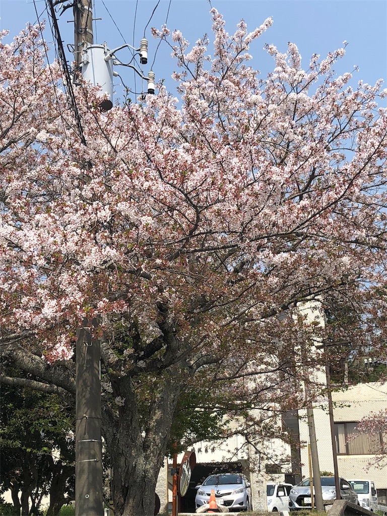 f:id:tamaohioki:20180403162729j:image f:id:tamaohioki:20180403162729j:image