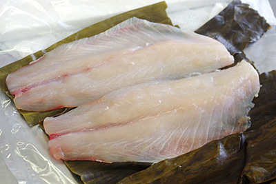 ボラを食べよう 日本鯔学会にいってきた 私的標本 捕まえて食べる