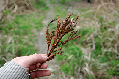 f:id:tamaokiyutaka:20180210002707j:plain f:id:tamaokiyutaka:20180210002707j:plain