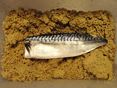 f:id:tamaokiyutaka:20180219011949j:plain