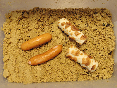 f:id:tamaokiyutaka:20180219012033j:plain