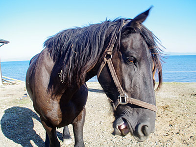 f:id:tamaokiyutaka:20180306013222j:plain