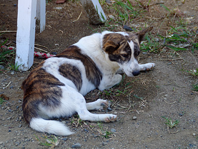 f:id:tamaokiyutaka:20180306013255j:plain