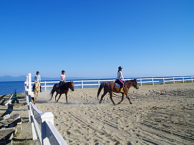 f:id:tamaokiyutaka:20180306013458j:plain