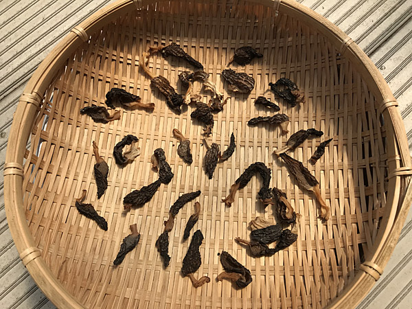 f:id:tamaokiyutaka:20180405015140j:plain