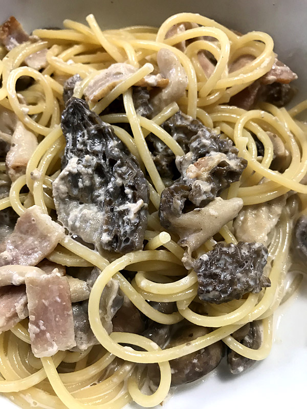 f:id:tamaokiyutaka:20180405015148j:plain