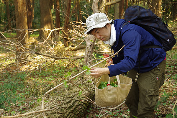 f:id:tamaokiyutaka:20180405041942j:plain f:id:tamaokiyutaka:20180405041942j:plain