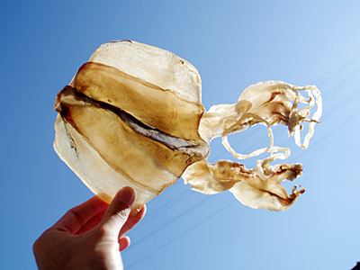 f:id:tamaokiyutaka:20180516153209j:plain f:id:tamaokiyutaka:20180516153209j:plain