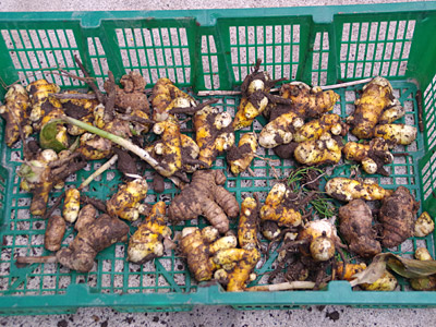 f:id:tamaokiyutaka:20180516163319j:plain