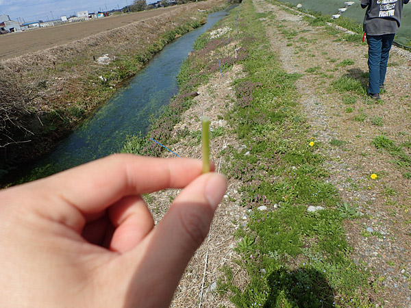 f:id:tamaokiyutaka:20180612142620j:plain f:id:tamaokiyutaka:20180612142620j:plain