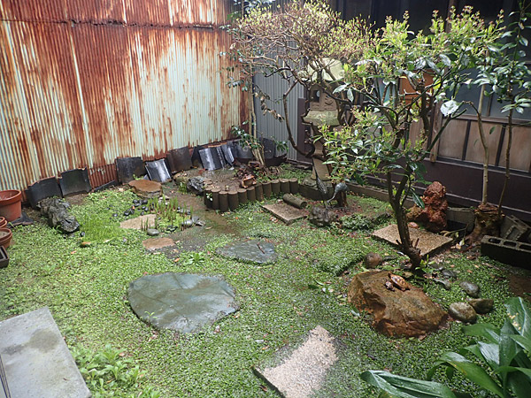 f:id:tamaokiyutaka:20180612143340j:plain f:id:tamaokiyutaka:20180612143340j:plain