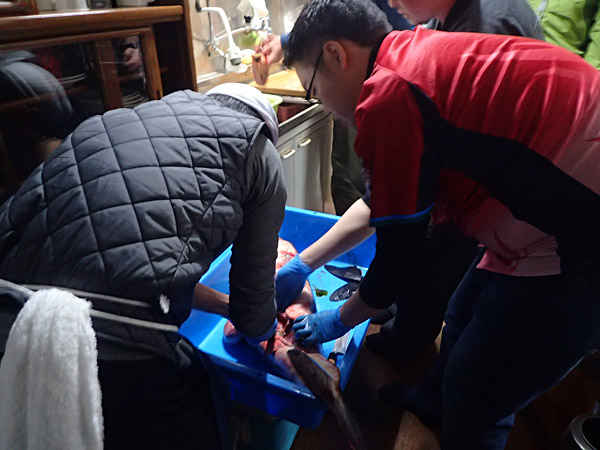 f:id:tamaokiyutaka:20180612143750j:plain f:id:tamaokiyutaka:20180612143750j:plain