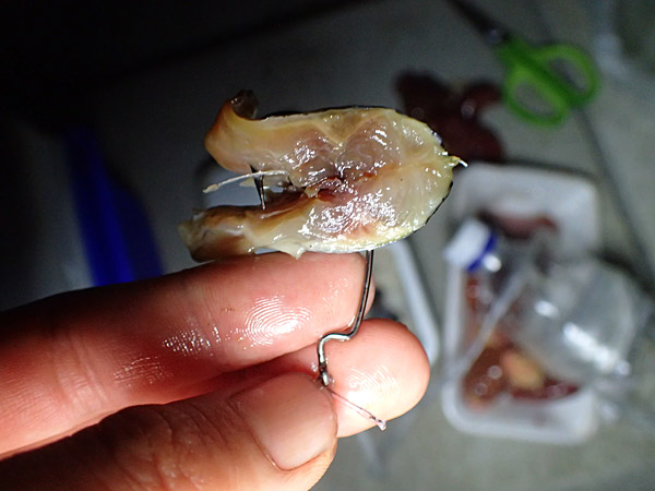 f:id:tamaokiyutaka:20180626220714j:plain