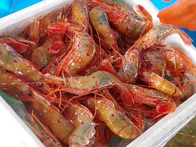 f:id:tamaokiyutaka:20180719171952j:plain f:id:tamaokiyutaka:20180719171952j:plain