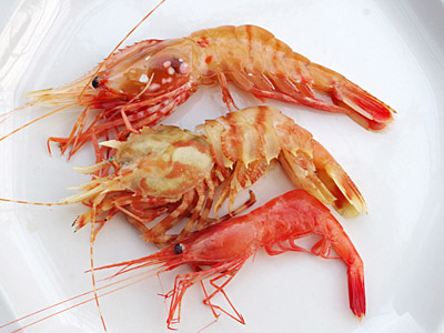 f:id:tamaokiyutaka:20180719172120j:plain f:id:tamaokiyutaka:20180719172120j:plain