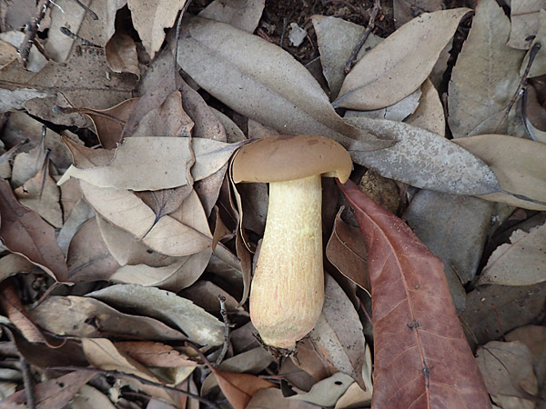 f:id:tamaokiyutaka:20180823000323j:plain