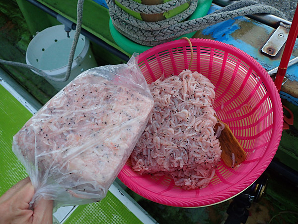 f:id:tamaokiyutaka:20180922225142j:plain