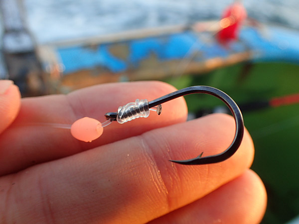 f:id:tamaokiyutaka:20180922225201j:plain