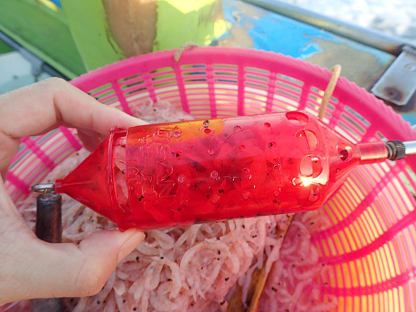 f:id:tamaokiyutaka:20180922225218j:plain