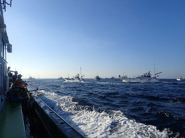 f:id:tamaokiyutaka:20180922225224j:plain