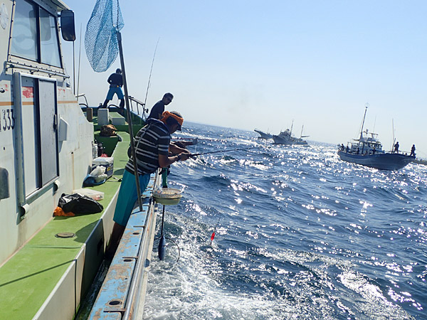 f:id:tamaokiyutaka:20180922225240j:plain