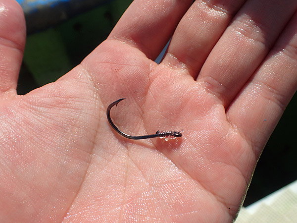 f:id:tamaokiyutaka:20180922225248j:plain